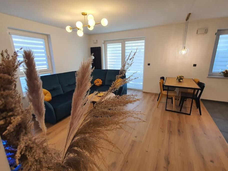 Przy Filmowce Ogrodek Parking Podziemny Apartment *